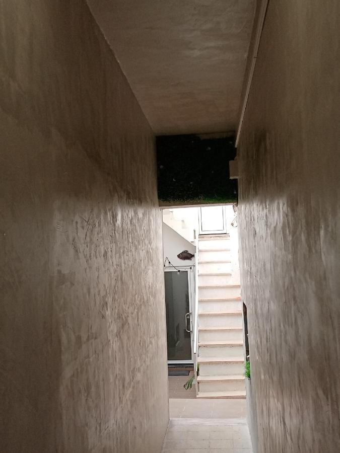 Estudio Dos Bones Ναζαρέ Εξωτερικό φωτογραφία